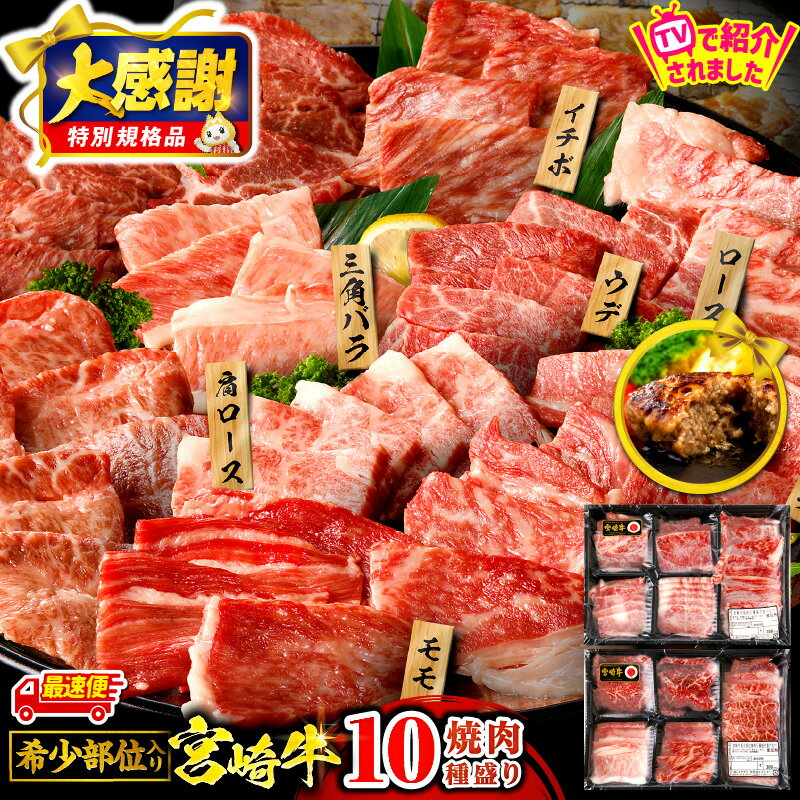 【ふるさと納税】テレビで紹介されました！【大感謝祭】【数量・期間限定】【発送時期が選べる】畜産農家応援！宮崎牛 焼肉 10種 盛り合わせ 国産牛ハンバーグ 100g×2個 牛肉 肉 お肉 赤身 霜降り 赤身肉 精肉 セット 牛 国産牛 BBQ 焼肉セット ギフト 小分け パック 宮崎市