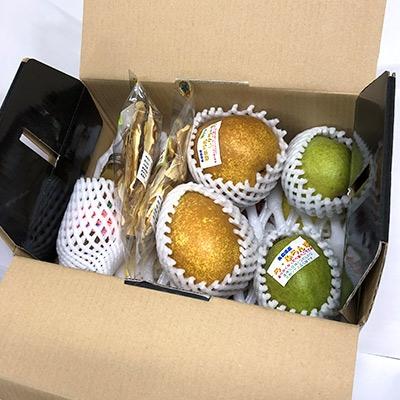 ふるさと納税 青森市 【2025年11月〜2026年3月発送】季節のフルーツセット(約5kg) |  | 02