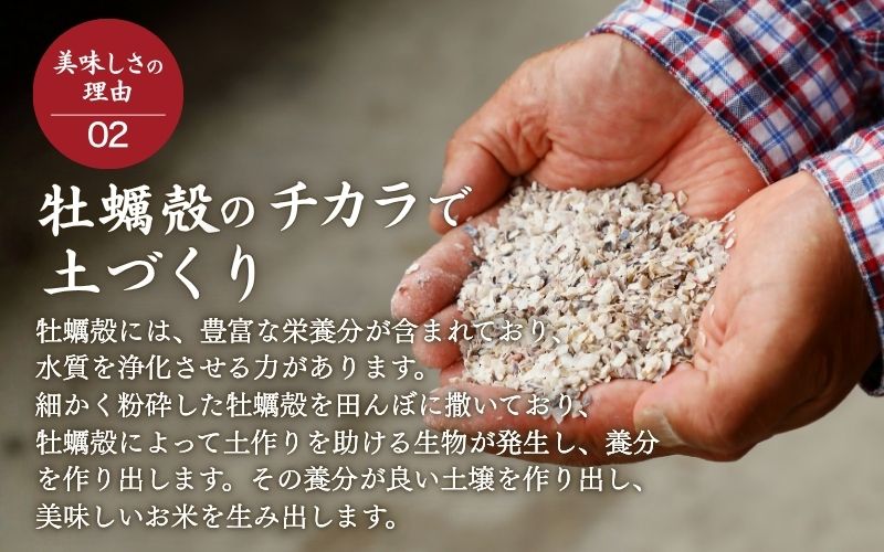 ＜全3回定期便＞ 真庭市産コシヒカリ 米ぬか 牡蠣栽培米 『 一心良米 』 無洗米 5kg×3回 【令和7年産】 / お米 いっしんりょうまい 岡山県 こしひかり 人気 ブランド 2025年産 【tk