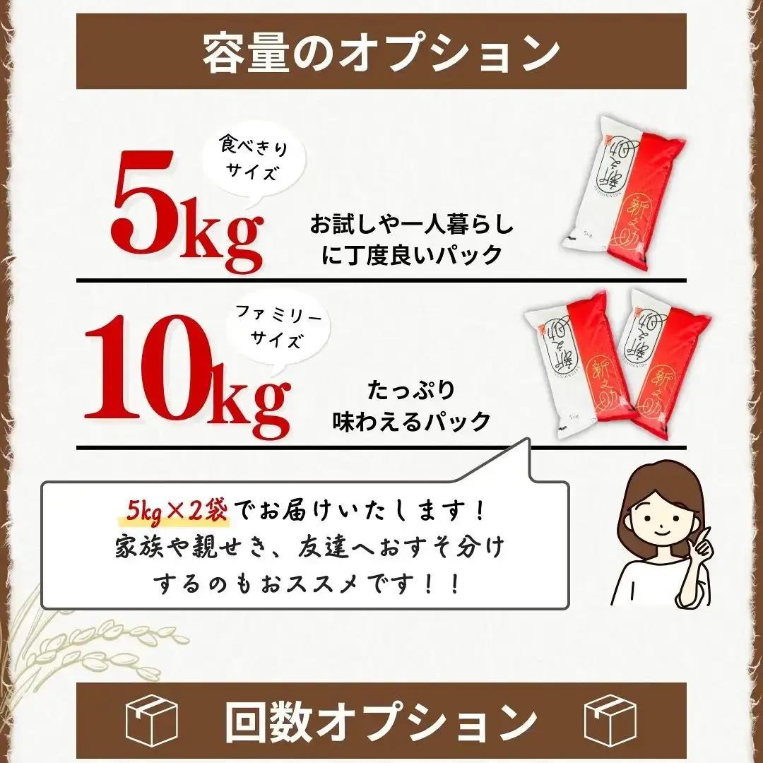 【令和7年産米】 新潟県三条市産 新之助 精米 10kg