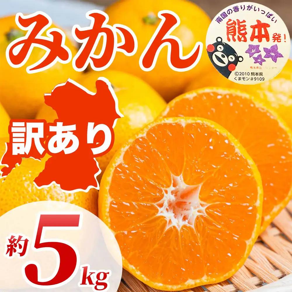 訳あり みかん サイズミックス 約5㎏（ 3S～3L）【2026年10月上旬～2027年2月下旬発送予定】