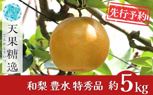先行予約 和梨 豊水 特秀品 約5kg 糖度13度以上を厳選 令和8年度 新潟県産 天果糖逸 [JAえちご中越]【013S062】