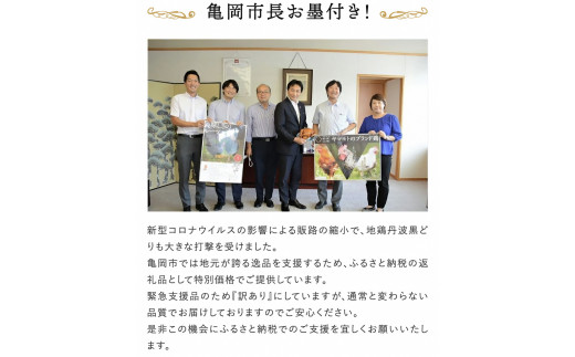 【訳あり・緊急支援品】地鶏 丹波黒どり 贅沢 ローストチキン 一羽分＜京都亀岡丹波山本＞≪鶏肉 丸1羽 とり肉 不揃い≫
