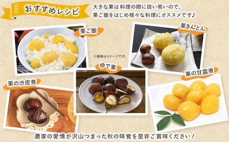 ＜生栗 2Lサイズ（約3kg）＞甘い 栗 マロン くり 和栗 栗ごはん モンブラン 栗きんとん 栗まんじゅう 甘露煮 スイーツ ケーキ 洋菓子 和菓子 お菓子 秋 味覚 産地直送 城川ファクトリー 愛