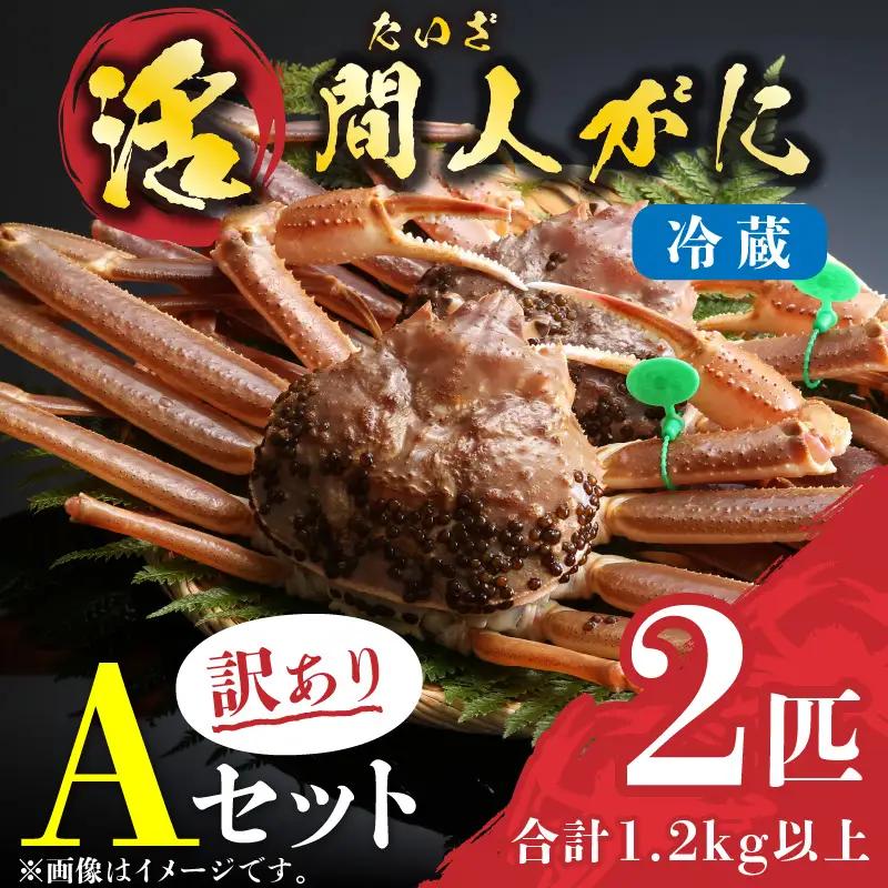（訳あり）活間人がに 2匹 Aセット　1/22～2/21発送予定