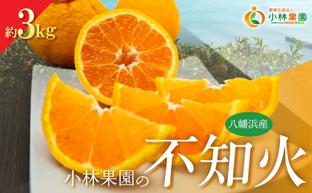 
                  【先行受付】小林果園の不知火(約3kg)【24-44】ふるさと納税 みかん ミカン  柑橘 柑橘類 フルーツ 果物 不知火 くだもの 人気 美味しい 愛媛県 八幡浜 YWTAD035
                