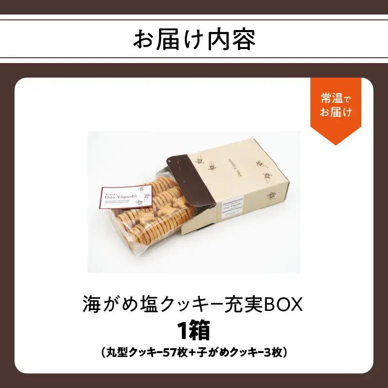 海がめ塩クッキー充実BOX (57枚+子がめクッキー3枚) 箱入り J01018