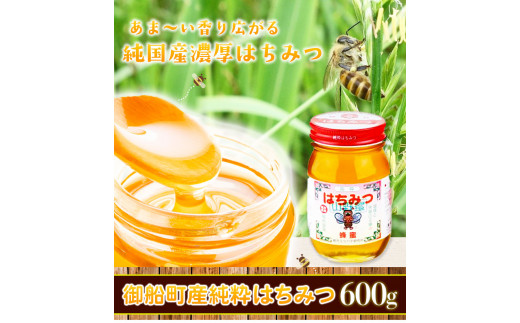 熊本県御船町産 純粋はちみつ600g 御船町観光協会 《30日以内に出荷予定(土日祝除く)》---sm_mkhoneyn_30d_23_12500_600g---