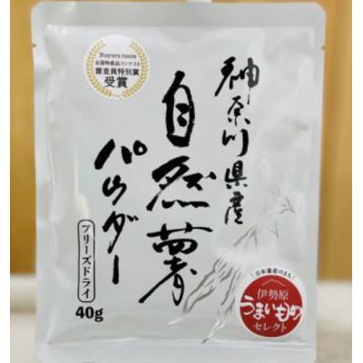 ふるさと納税 伊勢原市 すりおろし不要!自然薯パウダー10袋