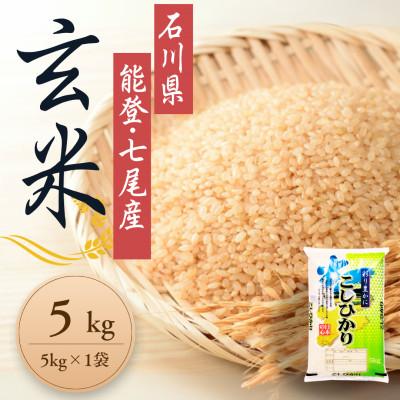 ふるさと納税 七尾市 【令和8年産】石川県能登産こしひかり 玄米5kg(5kg×1袋)