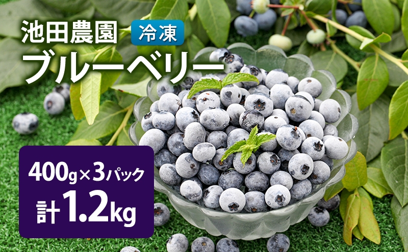 
                  冷凍 ブルーベリー 1.2kg (400g×3パック) 北海道産 フルーツ 果物 旬のフルーツ 旬の果物 くだもの 北海道 芦別市 [№5342-0798]
                