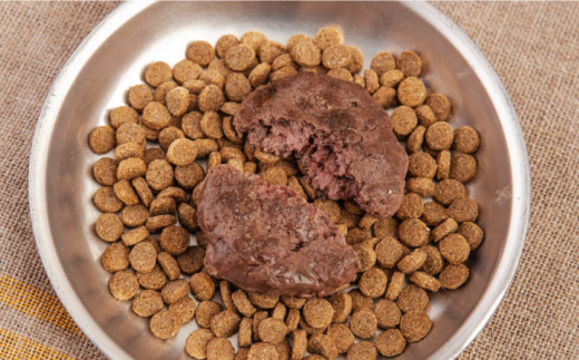 【全3回定期便】ペットフード 鹿肉 100%ハンバーグ 10個セット ペット 犬 猫 手作り 国産 てづくり こだわり ドッグフード  横須賀 【ペットフードYM japan】 [AKEX011]