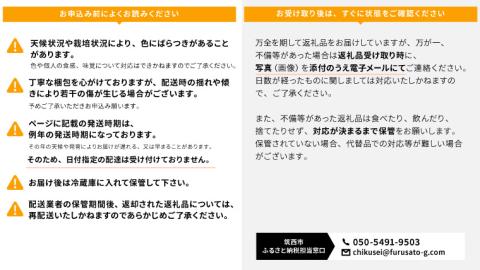 【先行予約】スーパーフルーツトマト大箱 3kg ×3箱  【大玉 20～35玉/1箱】糖度9度以上[AF064ci]