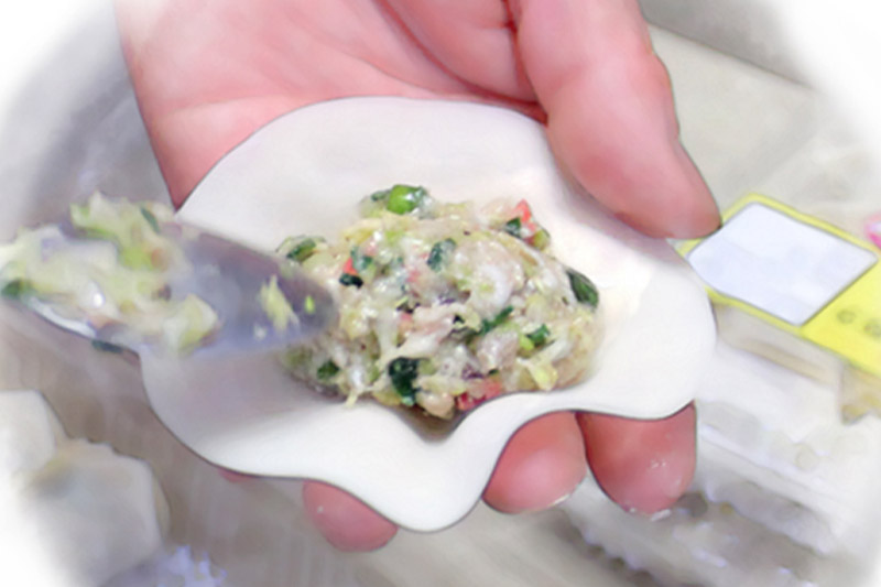 こだわりの手作り 餃子・焼売セット 6種(計58個)