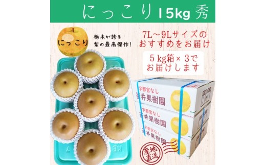 にっこり 15kg 18～24玉 | 栃木県産 宇都宮市 梨 なし フルーツ 果物 旬 産地直送 ※2026年9月～発送