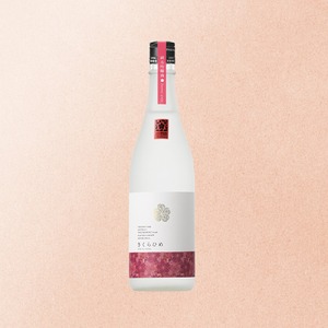 仁喜多津 純米吟醸酒さくらひめ酵母 水口酒造株式会社【SKK0062】