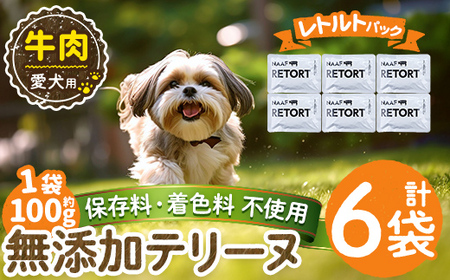 a1084-C ＜保存料・着色料 不使用＞愛犬用無添加テリーヌ レトルトパック 牛テリーヌ6袋(1袋約100g・合計約600g)【Nフードサービス】姶良市 牛 テリーヌ 犬 ドッグ ペット フード エサ レトルト おやつ ごはん ご飯 間食 ご褒美