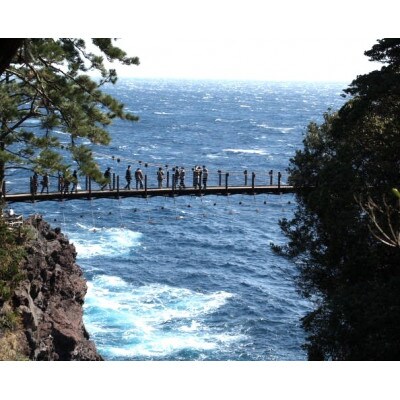 【伊豆高原】＼温泉・宿泊・体験に!/2,000円パス15枚セット