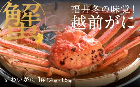 【特別価格期間延長！】【産地直送】福井冬の味覚！越前がに 1杯 (1.4～1.5kg)