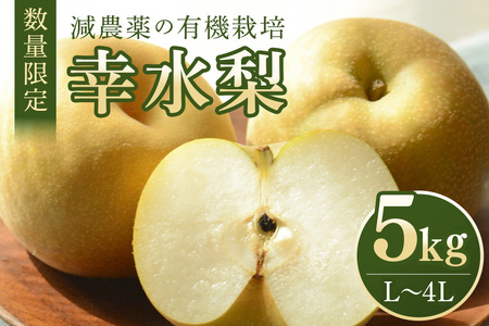 【数量限定・先行予約】 梨 幸水 5kg L～4L 11～18玉 なし ナシ 果物 フルーツ 国産 【8月10日～9月末発送予定】 70-M