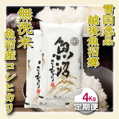 ふるさと納税 魚沼市 【毎月定期便】雪国逸品 《無洗米》4kg　越後魚沼郷 魚沼産コシヒカリ全6回