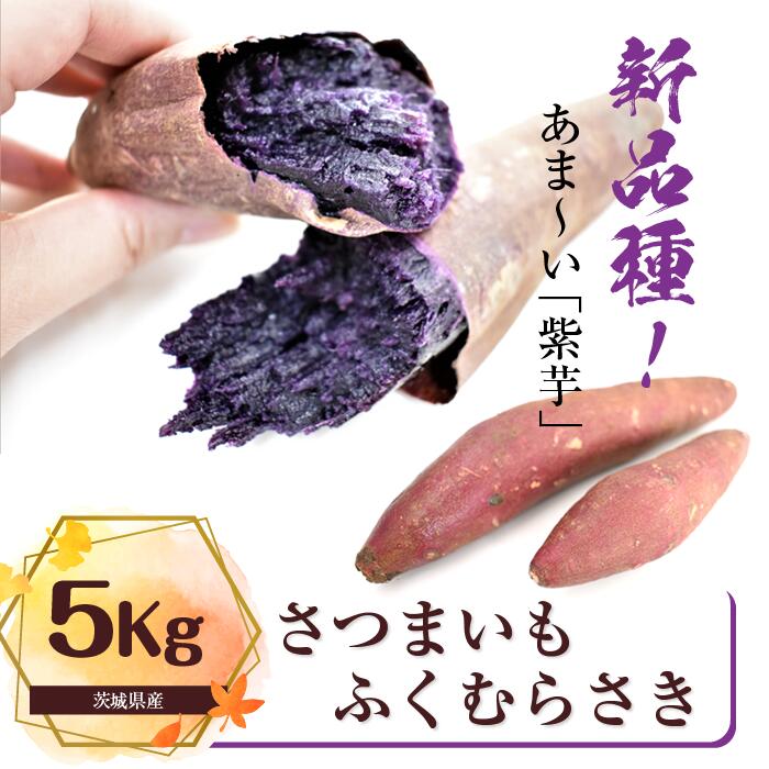 【ふるさと納税】さつまいも　特選ふくむらさき 約5kg｜さつまいも 芋 お芋 ふくむらさき タネのハシモト 茨城県 行方市(BS-13)