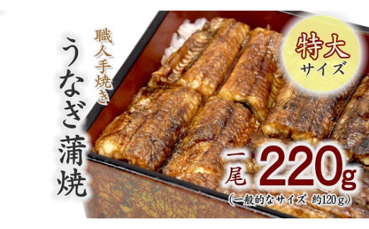 
                  職人手焼きの特大鰻蒲焼220ｇ【1.2-6】
                