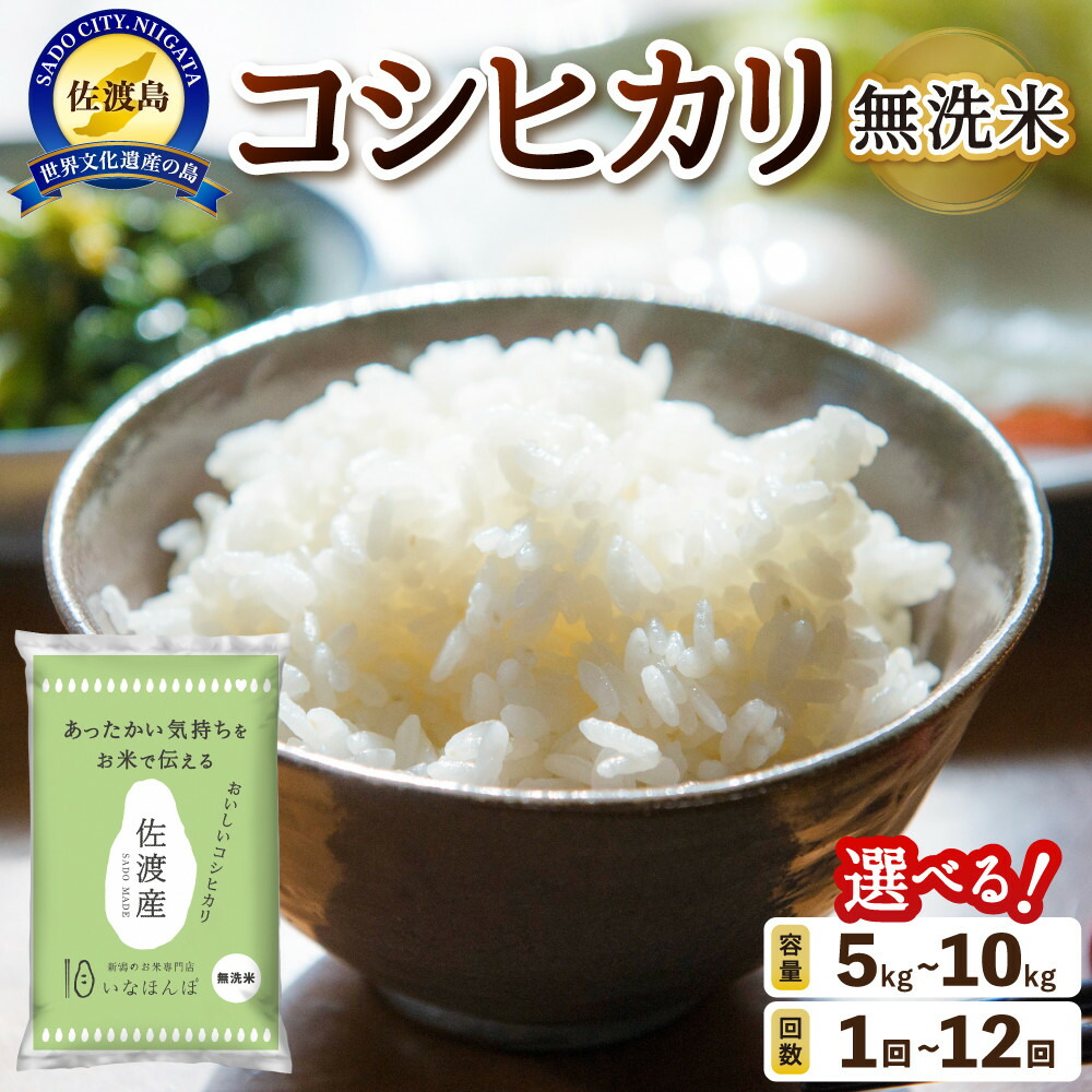 無洗米佐渡産コシヒカリ5kg195969-0016