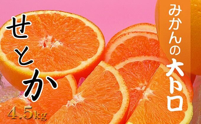 話題の人気品種［せとか約4.5kg］の詰め合わせ フルーツ 果物類 みかん 柑橘類 