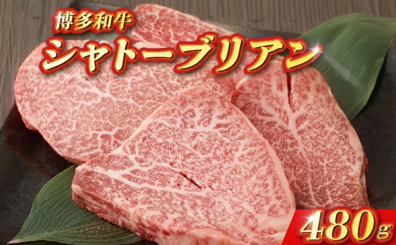
                  柳川産 博多和牛 シャトーブリアン 約120g×4 計約480g 肉 牛肉 和牛 国産 国産牛肉 ヒレステーキ ぎゅうにく ステーキ ヒレ ヒレステーキ シャトーブリアン しゃとーぶりあん ひれ すてーき 高級牛肉 希少部位 冷凍牛肉
                