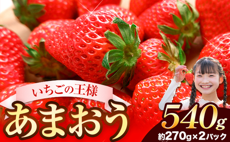 ★2025年出荷分★【先行予約】福岡の名産いちごあまおう540g【着日指定不可】《3月中旬-4月末頃出荷予定》 大人気いちご 大人気あまおう 福岡特産品あまおう