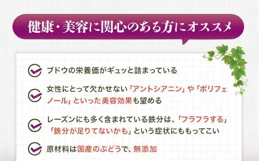 ほしぶどう 40g×10袋  国産 ドライフルーツ 無添加 保存食  食物繊維 鉄分 おやつ おつまみ