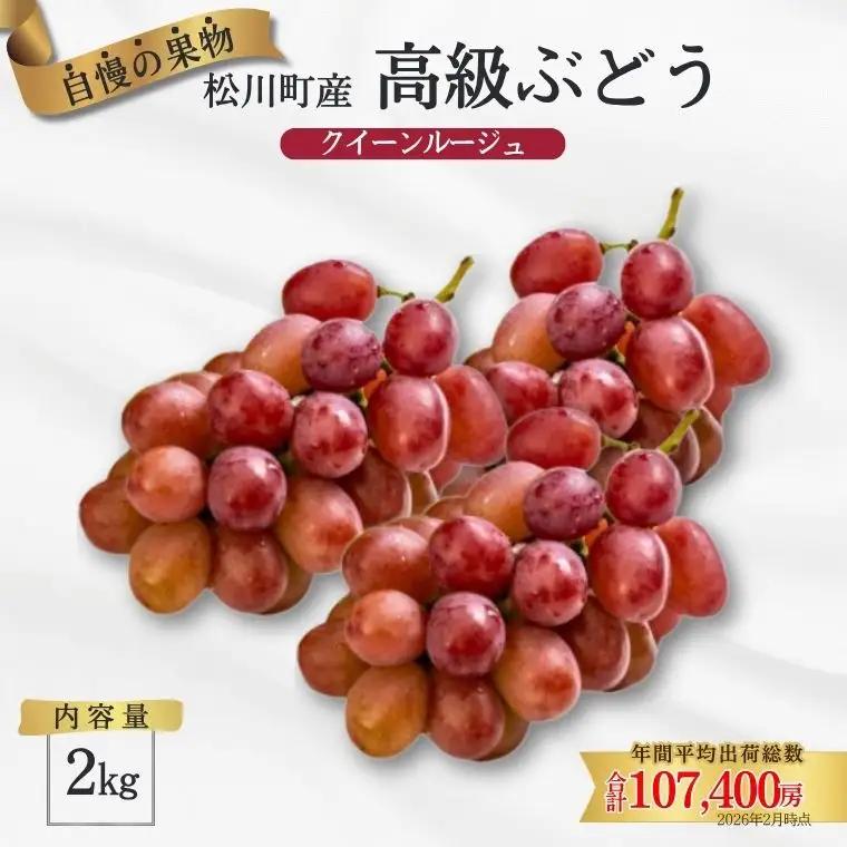 ぶどう クイーンルージュ®  約2kg／2026年9月下旬から10月頃 配送予定［TK08］//稀少 新品種 長野県 南信州 高糖度 葡萄 クインルージュ 甘い 種なし 皮ごと 先行予約