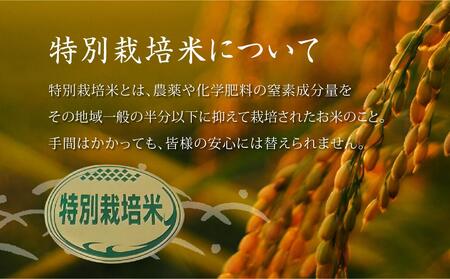 特別栽培米　稜線の風（あきたこまち） 5kg