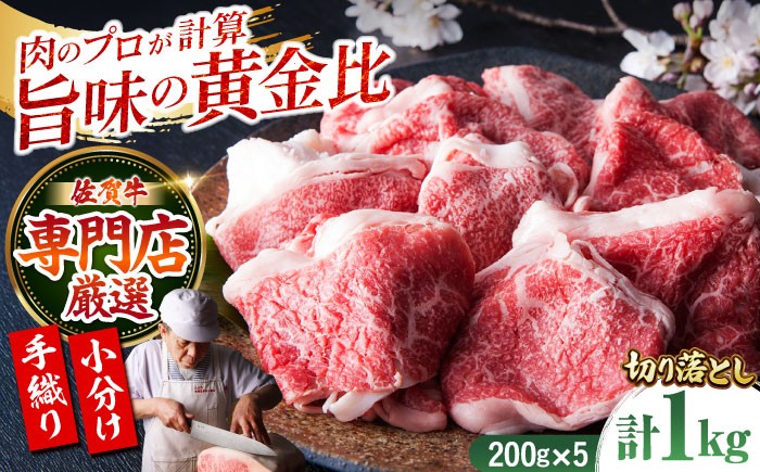 
【便利な小分け】佐賀牛 切り落とし 1kg ( 200g×5パック ) 【肉の三栄】 [HAA079]
