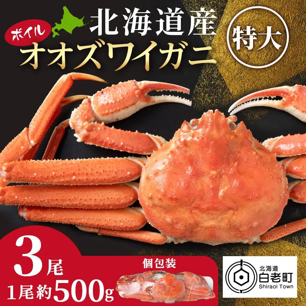 北海道産 大ズワイ＜特大＞500g×3尾 オオズワイ 蟹 かに カニ ボイル AM212