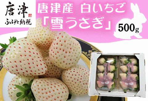 『先行予約』【令和8年2月中旬発送】唐津産 白いちご「雪うさぎ 」苺 イチゴ 希少 果物 フルーツ 脇山農園