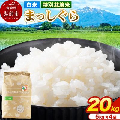 ふるさと納税 弘前市 米【特別栽培米】まっしぐら 白米 20kg(5kg×4袋)令和7年産|24_mft-072001