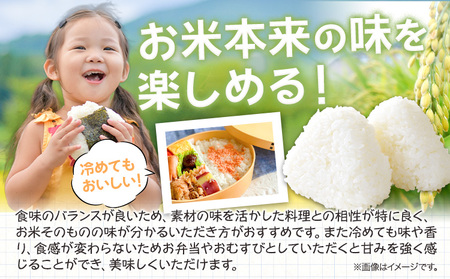 【令和7年産】 無洗米 8kg お米 8キロ 国産 岡山県産 きぬむすめ 8kg(2kg×4袋) 全農パールライス株式会社《30日以内に出荷予定(土日祝除く)》 岡山県 浅口市 送料無料 こめ 精米 