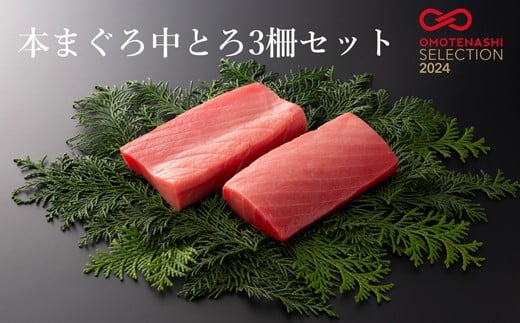 
            本まぐろ中とろ３柵セット
          