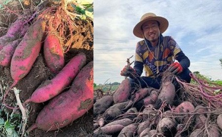 8月内発送 干し芋 紅はるか 切り落とし (200g×6袋) K1939