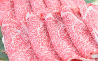 佐賀牛 肩ローススライス 600g J829