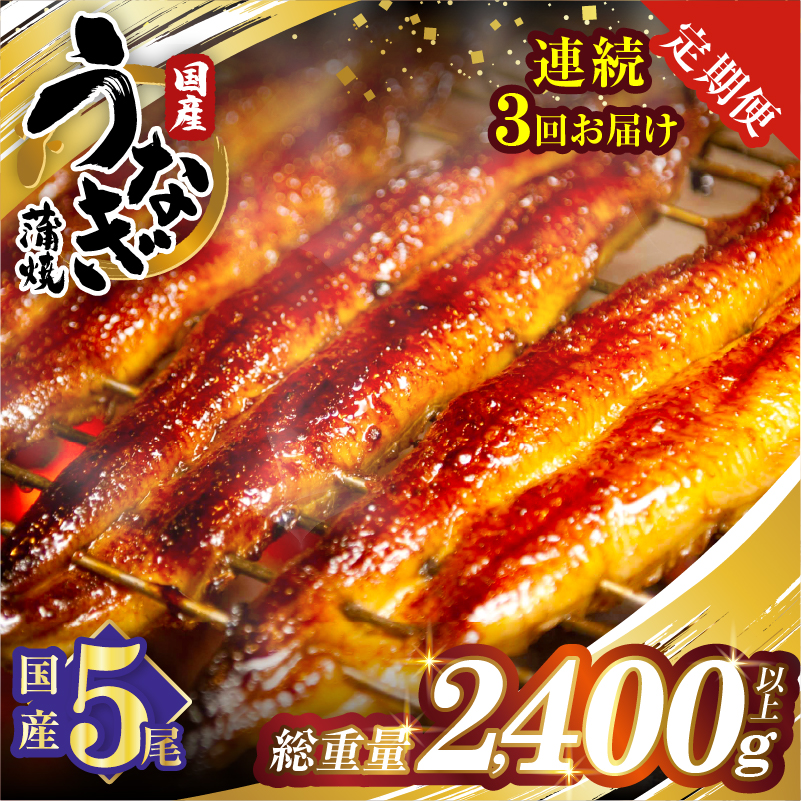 【3回連続定期便】うなぎ蒲焼5尾(さんしょう・たれ付き)総重量2400g以上_T026-0036-R【鰻 魚 魚介 加工品 国産 人気 ギフト 食品 おかず 惣菜 高級 お土産 贈り物 送料無料 プレゼント】