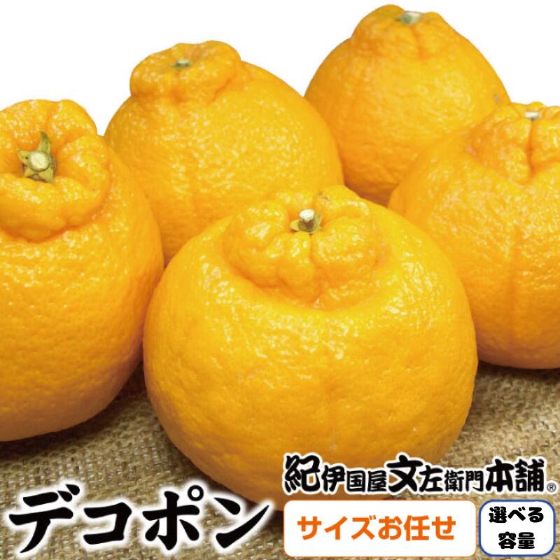 【ふるさと納税】デコ不知火（デコポン）【選べる容量】約3kg 約5kg 秀品 サイズおまかせ 紀伊国屋文左衛門本舗　※2025年2月上旬～2025年4月上旬頃に順次発送予定(お届け日指定不可) / みかん 果物 くだもの 柑橘 オレンジ デコポン 不知火 フルーツ 和歌山