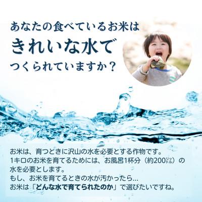ふるさと納税 茅野市 霧ヶ峰の水が育んだお米(レンジアップごはん)10個 |  | 01