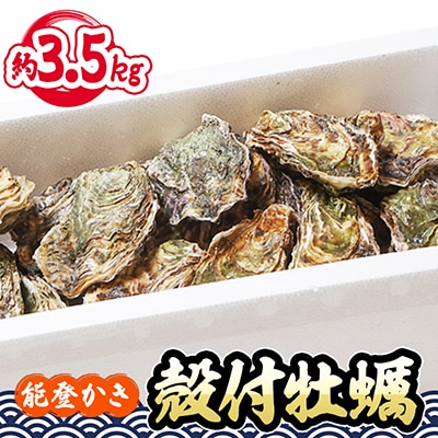 能登牡蠣 殻付 牡蠣 約3.5kg(約30個)専用ナイフ、片手用軍手付　※加熱用【配送不可地域：離島・北海道・沖縄・東北・中国・四国・九州】【1051972】