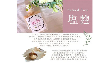 塩麹(坊津の華)1個 Y0-39_調味料   _【配送不可地域：離島】【1616144】