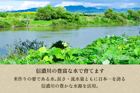【令和7年産新米先行予約】新潟県産コシヒカリ 玄米3kg（3kg×1袋）（従来品種） 《9月下旬から順次出荷》 新潟米 お米 こめ コメ ライス ご飯 加茂市 のざきファーム