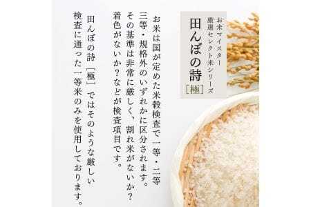 【定期便】 2kg 【12ヵ月連続お届け】 計24kg 広島県産 お米マイスター厳選米 【出荷直前精米】