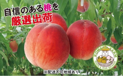 
                  桃 白桃 約2kg 錦の桃 もも モモ フルーツ 果物 デザート 2024年発送 小俣果樹園 配送不可:離島
                